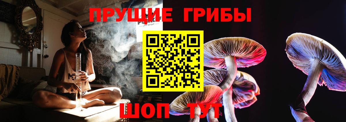 Кисловодск  Галлюциногенные грибы GOLDEN TEACHER  Вход с VPN 