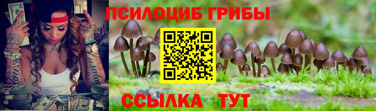 Галлюциногенные грибы Magic Shrooms Кисловодск